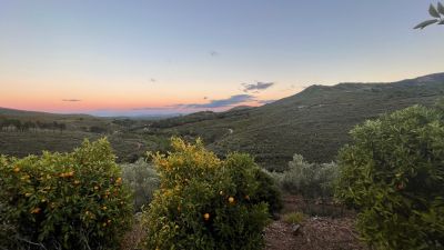 paisaje acebo